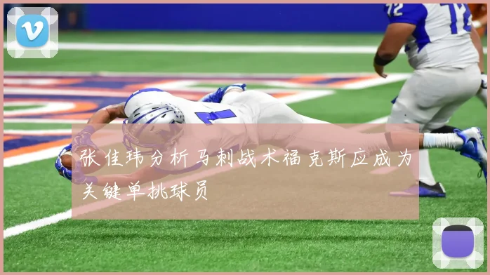 张佳玮分析马刺战术福克斯应成为关键单挑球员
