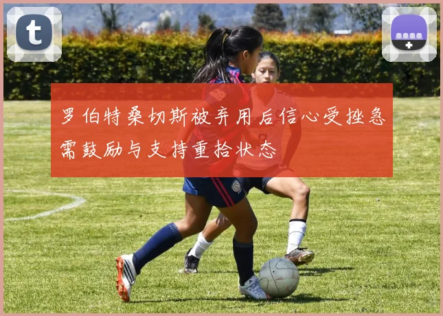 罗伯特桑切斯被弃用后信心受挫急需鼓励与支持重拾状态