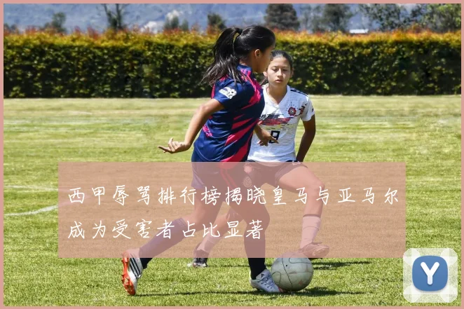 西甲辱骂排行榜揭晓皇马与亚马尔成为受害者占比显著