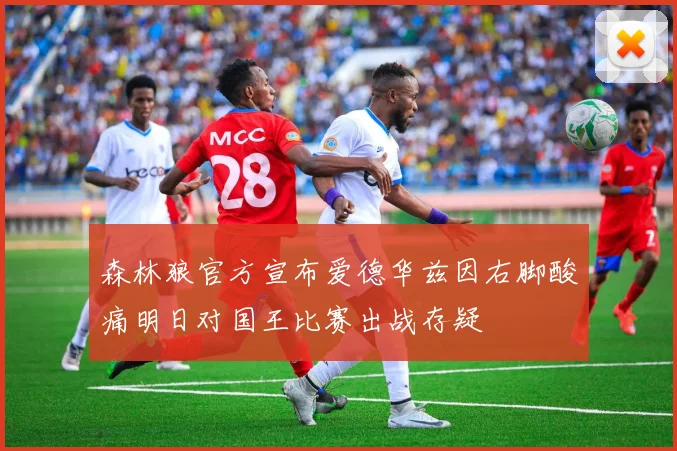 森林狼官方宣布爱德华兹因右脚酸痛明日对国王比赛出战存疑